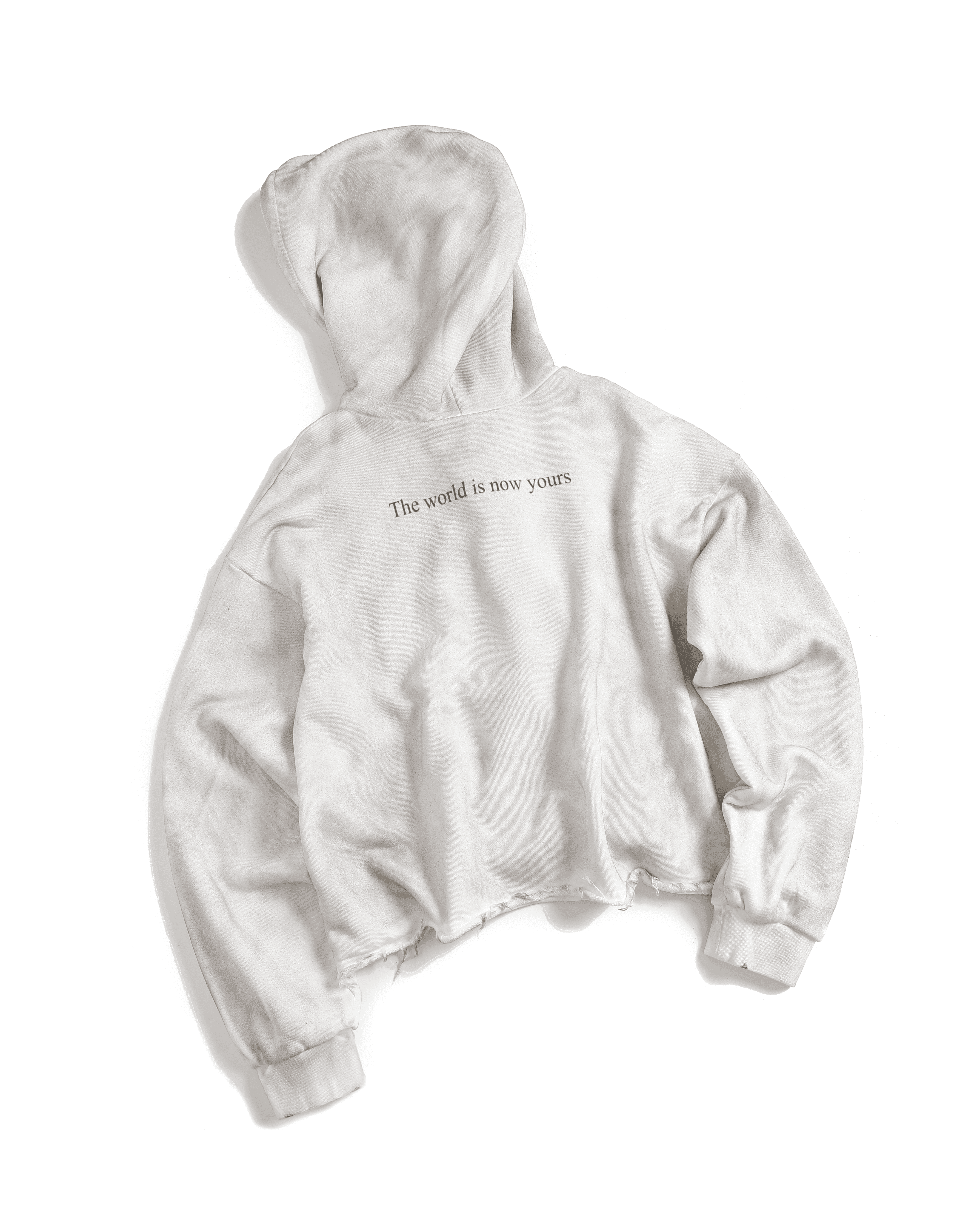"The World Is Now Yours" Hoodie — White — view 2