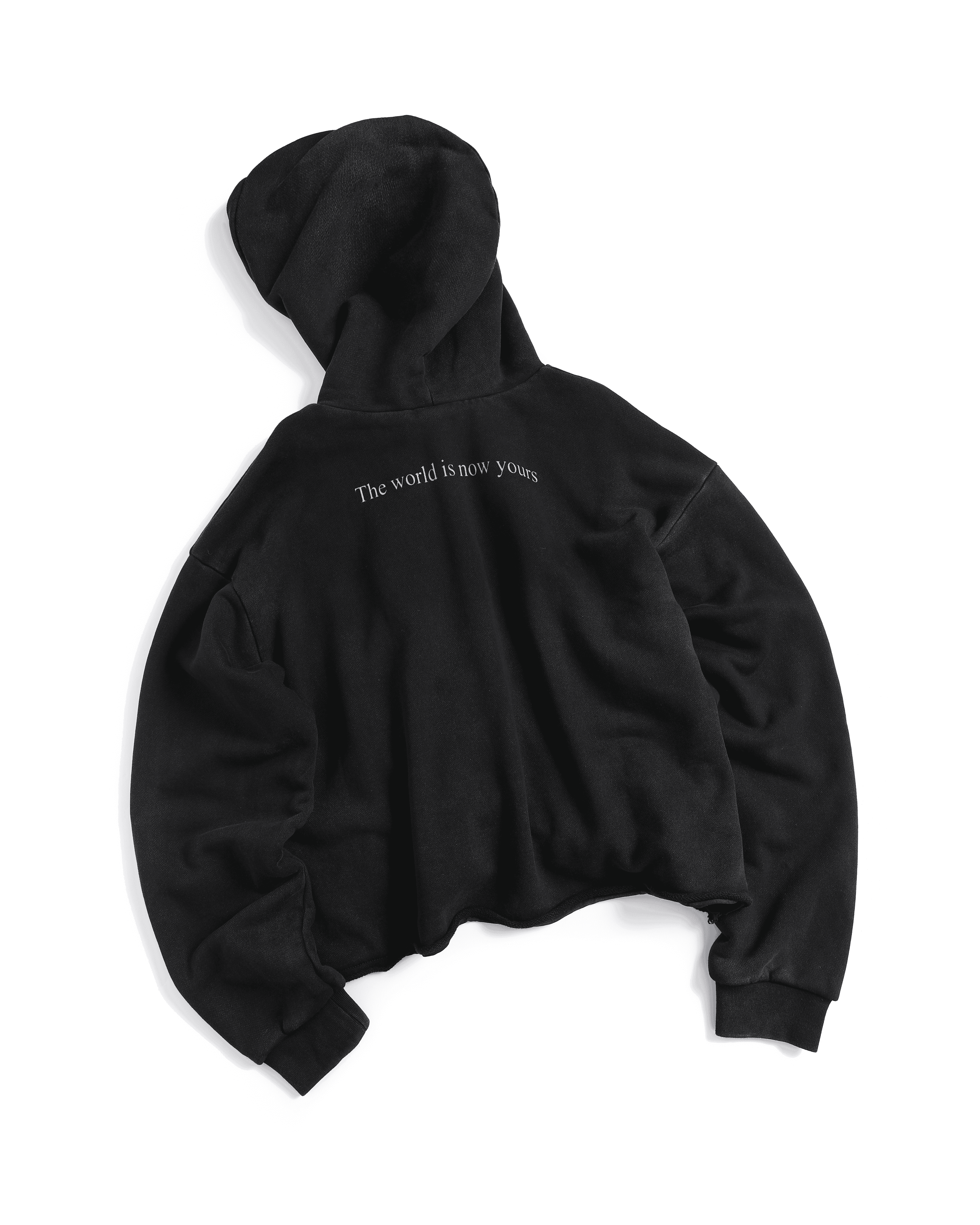 "The World Is Now Yours" Hoodie — Black — view 2